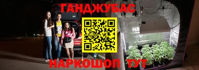 СК Севастополь