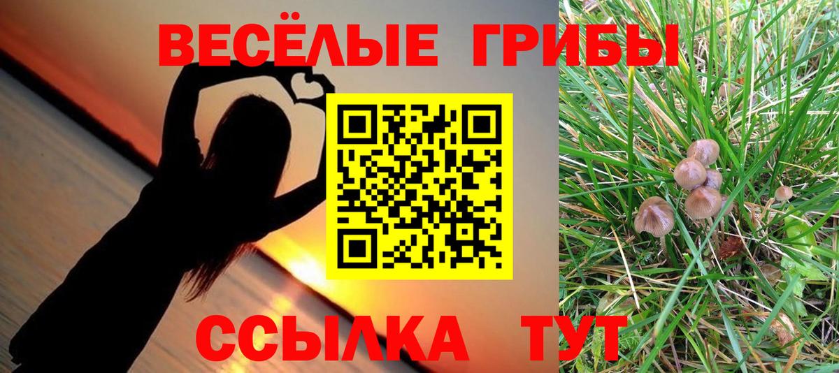 Галлюциногенные грибы ЛСД  Вход с VPN  Сургут 