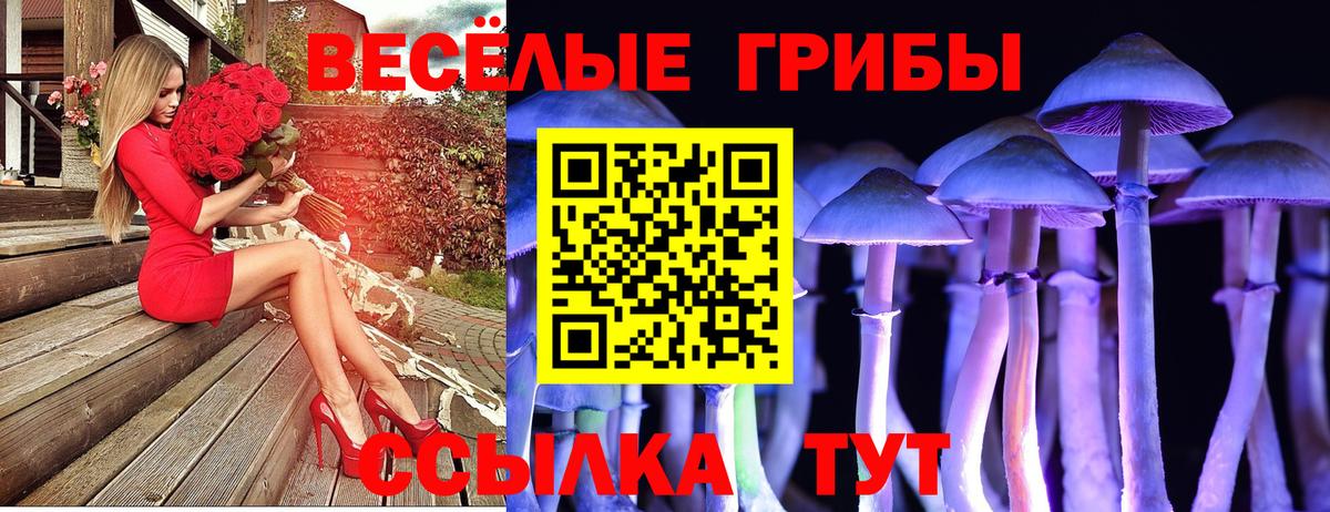 Псилоцибиновые грибы прущие грибы Сургут